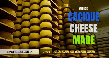 The Making of Cacique Cheese: A True Latin American Treat