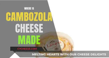 Cambozola Cheese: A German Delicacy Explored