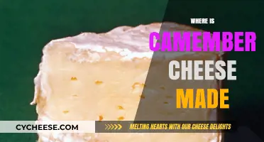 Camembert's Origin: Unveiling the French Cheese's True Home