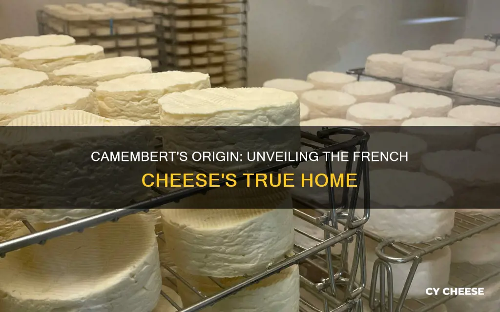 where is camembert cheese made