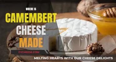 The History of Camembert Cheese: A French Delicacy