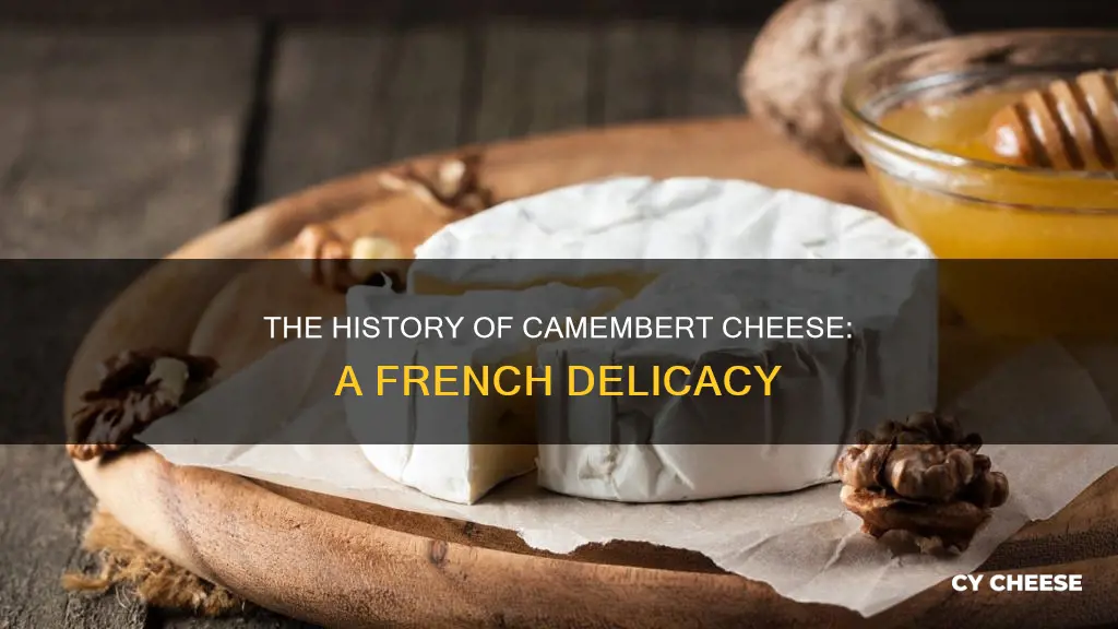 where is camembert cheese made