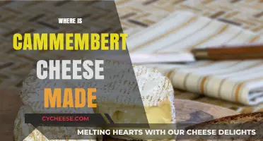 Camembert's Origin: Unveiling the French Cheese's Home