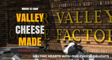 Uncover the Origin: Where Carr Valley Cheese is Crafted