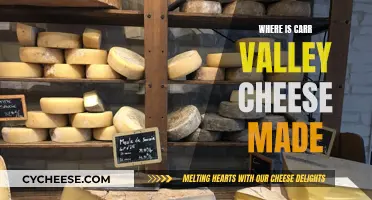 Carr Valley Cheese: A Wisconsin Original