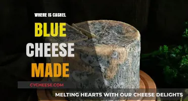 The Origin of Cashel Blue Cheese: A Journey to Ireland