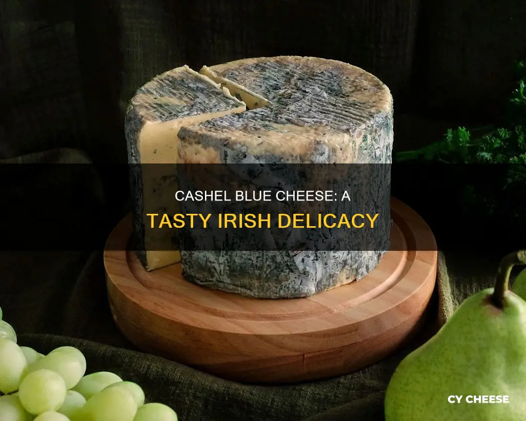 where is cashel blue cheese made