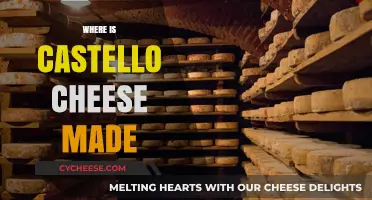 Castello Cheese: Unveiling the Origin of This Delicious Italian Delight