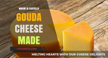 The Origin of Castello Gouda: Unveiling the Dutch Cheese's Story