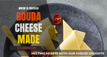 The Gouda Cheese-Making Process at Castello