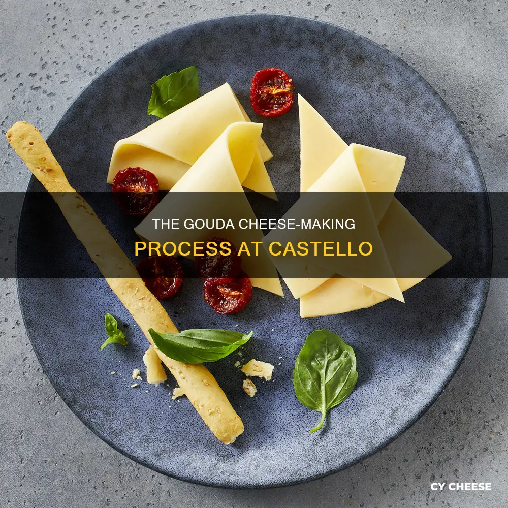 where is castello gouda cheese made