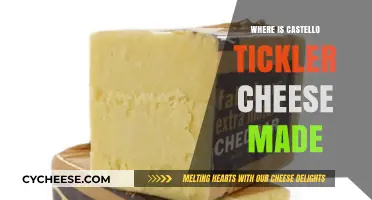 The Origins of Castello Tickler Cheese