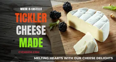 The Story of Castello Tickler Cheese: Its Origins and Makers