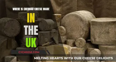The Cheddar Cheese Journey: From Somerset to Your Table
