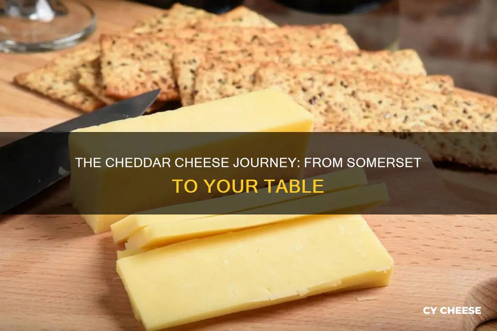 where is cheddar cheese made in the uk