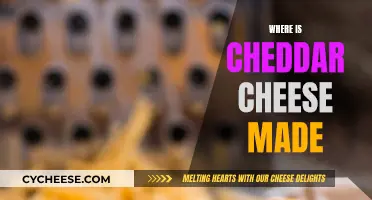 The Cheddar Cheese Journey: From Farm to Table