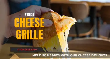 Cheese Grille: A Culinary Mystery Unveiled