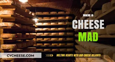 Cheese Mad: A Global Adventure in Dairy Delights