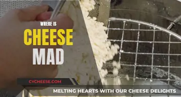 Cheese Appreciation: Where is it Most Loved?
