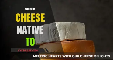 Exploring Cheese Origins: Uncovering the Native Roots of Cheese