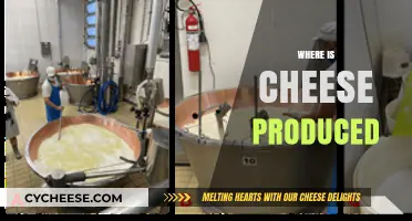 Global Cheese Production: Exploring Top Regions and Artisanal Hubs