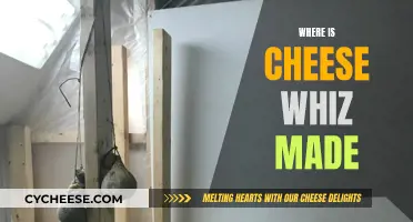 Cheese Whiz: Unraveling the Mystery of Its Origin