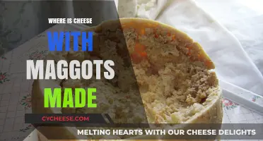 Uncovering the Origins of Maggot-Infested Cheese