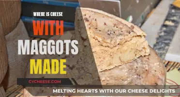 The Art of French Casu Marzu: Cheese and Maggots