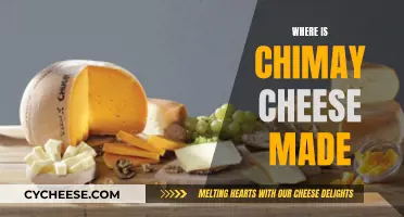 Chimay Cheese: A Tasty Treat from Belgian Trappists