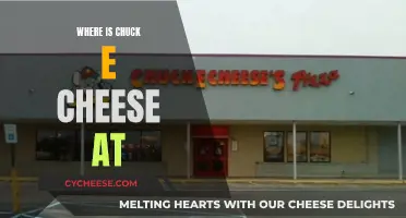 Chuck E. Cheese: Where Is the Fun?