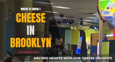 Brooklyn's Chuck E. Cheese: A Fun-Filled Family Destination