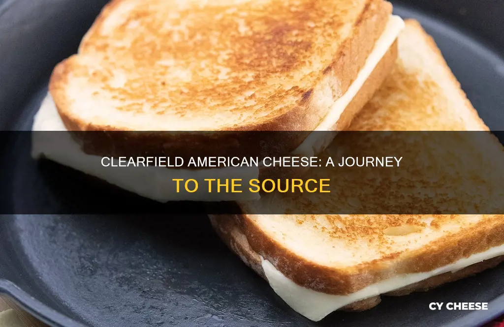 where is clearfield american cheese made