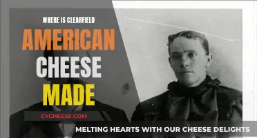 Clearfield American Cheese: Where is it Really From?