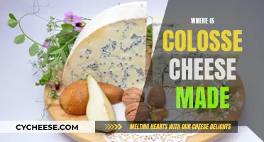 Colosse Cheese: Where is This Iconic Cheese Made?