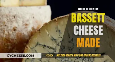 The History of Colston Bassett Cheese and Its Origins