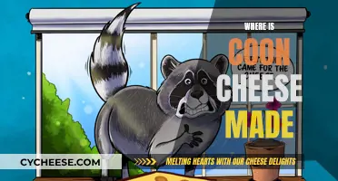 Coon Cheese: Where Is It Made?