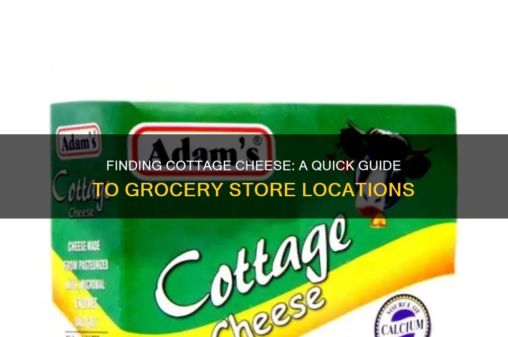 where is cottage cheese in grocery store