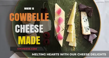 Cowbelle Cheese: Unveiling the Origin of This Delicious Treat