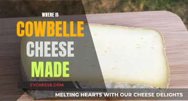 The Making of Cowbelle Cheese: A Behind-the-Scenes Look