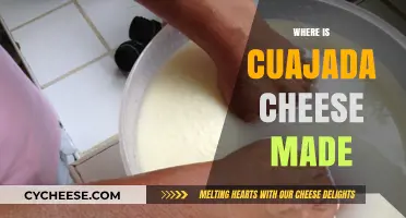 Cuajada Cheese: A Journey from Spain to the Americas