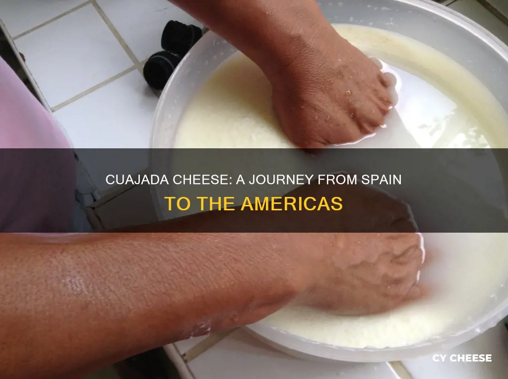 where is cuajada cheese made