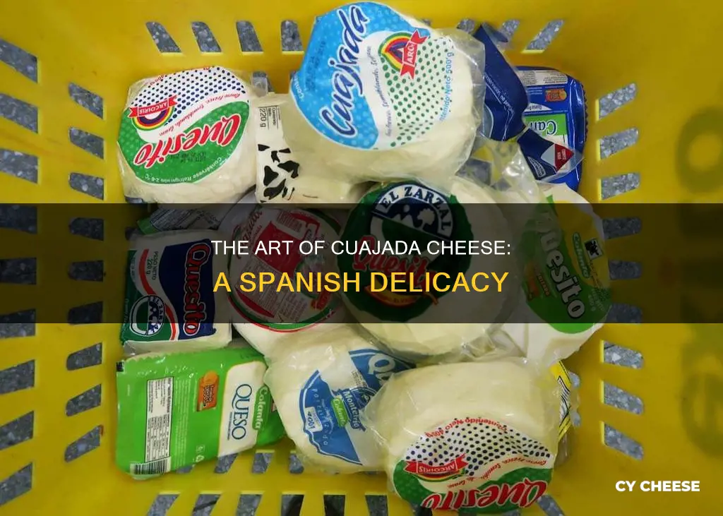 where is cuajada cheese made