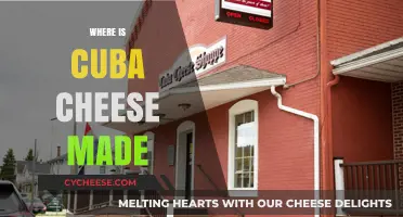 Exploring the Origins: Where is Cuban Cheese Made?