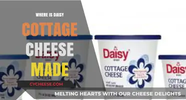 Discovering the Origin: Where is Daisy Cottage Cheese Made?