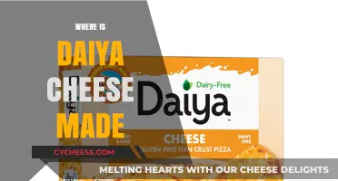 Daiya Cheese: Unveiling the Origin of This Plant-Based Delight