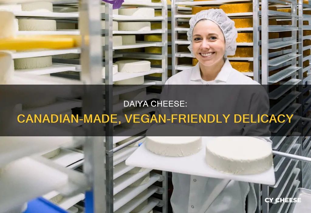 where is daiya cheese made