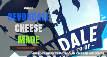 Devondale Cheese: Unveiling the Origin of This Delicious Dairy Delight