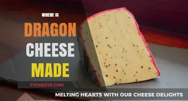 Unveiling the Origins: Dragon's Cheese Haven