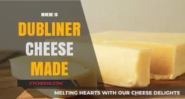 The Origin of Dubliner Cheese: A Journey to the Past