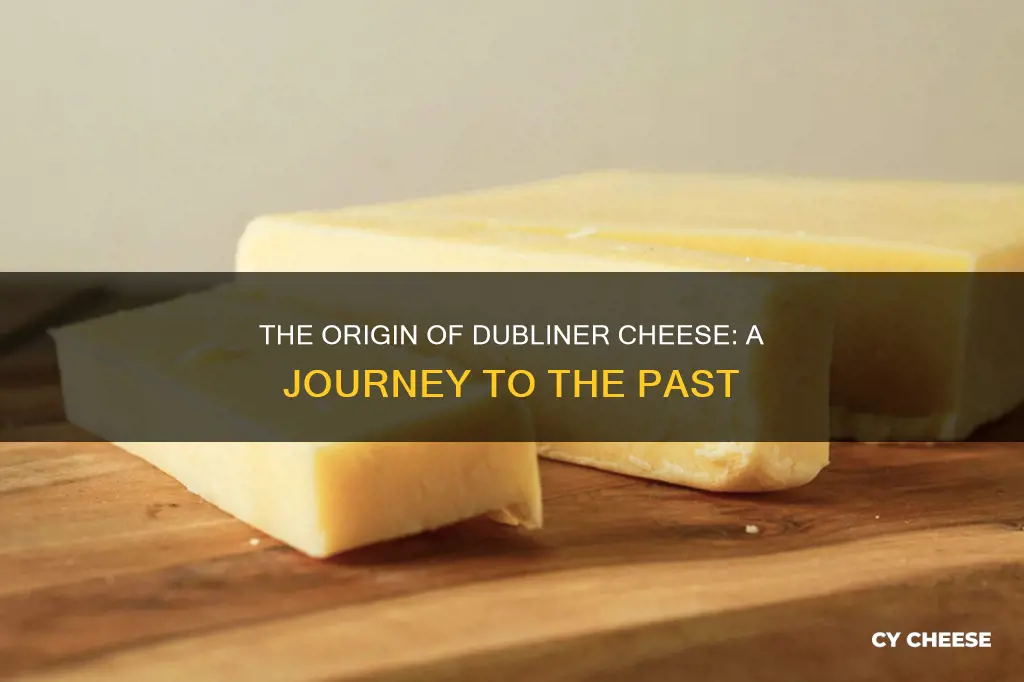 where is dubliner cheese made